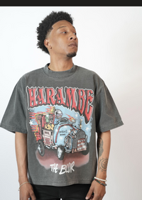 “The Blur”- Shadow