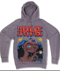 “Not from planet earth”- Grey